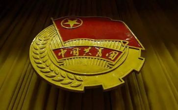 对团的工作心得体会推荐8篇