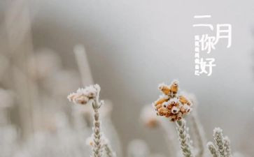 青协十二月工作计划通用7篇