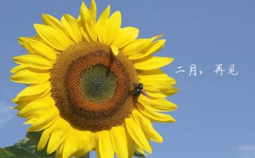 青协十二月工作计划优质7篇