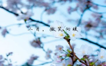 第二月的工作总结推荐8篇