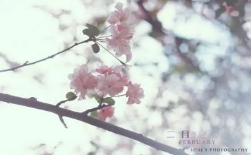 幼儿园十二月份的工作总结8篇