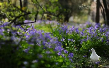 青协十二月工作计划5篇