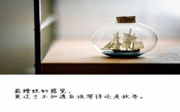开放日工作总结7篇