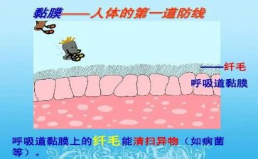 共筑网络安全防线心得8篇