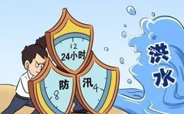 防汛等工作总结8篇