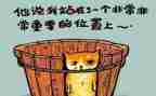 轻和响教案反思通用6篇