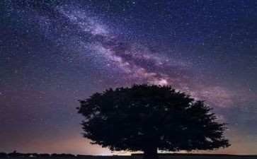 《繁星春水》读后感推荐8篇
