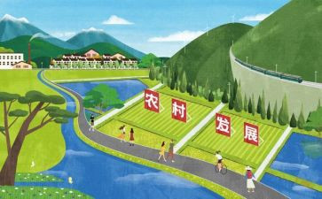 职业教育发展心得体会7篇