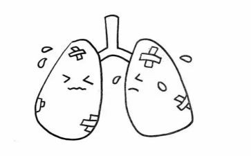 保护肺教案5篇