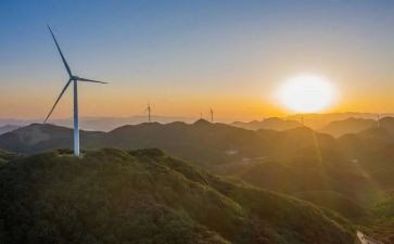 2023年干部纪律作风整顿心得体会5篇