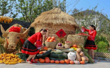 农民丰收的作文6篇