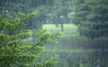 风雨后我作文5篇