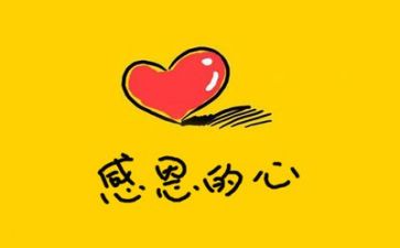 活动感恩活动心得体会6篇