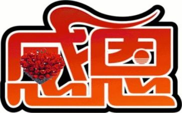 感恩社活动总结最新8篇