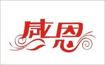 感恩教师的作文800字5篇