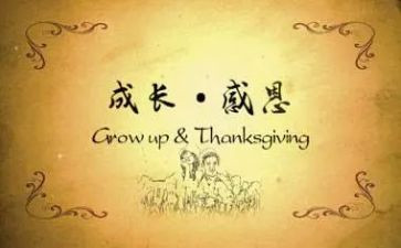感恩的作文300字6篇