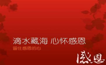 我感恩谁作文500字通用7篇