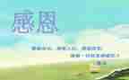 我感恩的人作文500字7篇