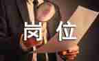 岗位的个人工作总结模板6篇