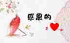 我感激你作文600字优质7篇