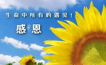 感谢您母校演讲稿8篇