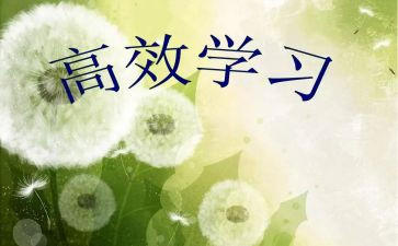高效团队心得体会7篇