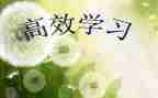 高效团队心得体会7篇