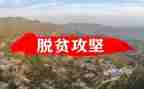 安全生产百日攻坚工作总结8篇