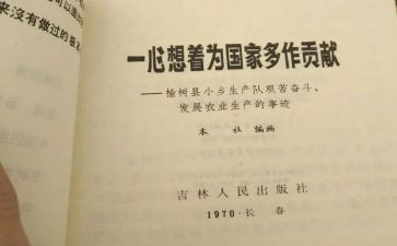 贡献的事迹7篇