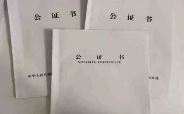 公证的赠与合同6篇