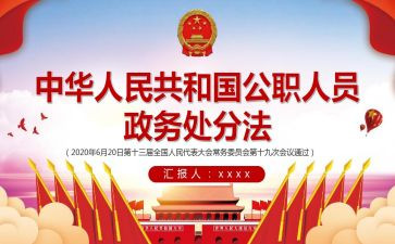 公职律师总结年度总结6篇