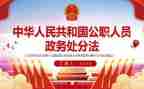 公职律师总结年度总结6篇