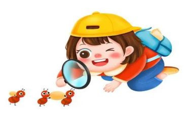 观察作文300字参考6篇