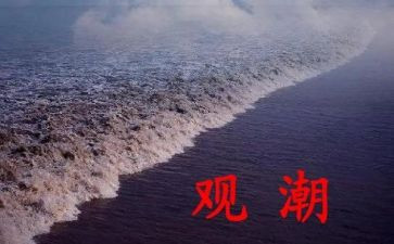 四年级观潮读后感通用7篇