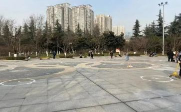 代广场的蟋蟀的网读后感精选8篇