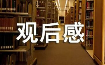 士兵与枪观后感参考8篇