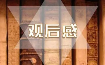 参观历史博物馆观后感8篇