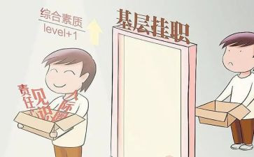 干部挂职工作总结报告8篇