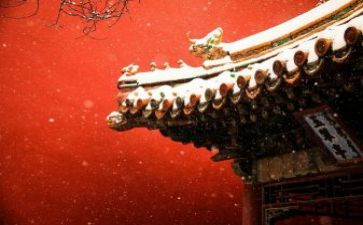 故宫的心得体会8篇