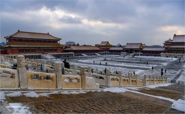 故宫博物院教案5篇