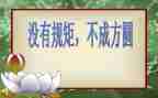 明规矩心得体会8篇