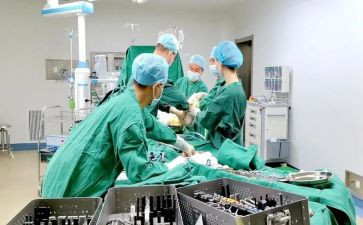 骨科护士年终工作总结个人范文8篇