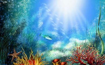 《海底》作文推荐6篇
