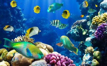 《海底》读后感最新8篇