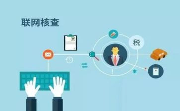 统计数据核查自查报告7篇