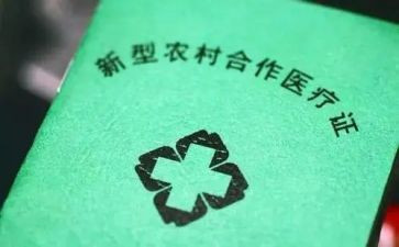 合疗个人工作总结7篇