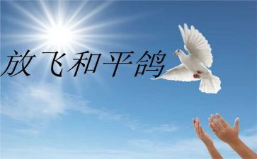 战争与和平读书心得体会7篇
