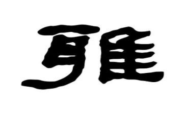和雅少年事迹材料6篇