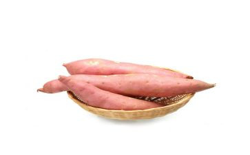 卖红薯的爷爷作文5篇