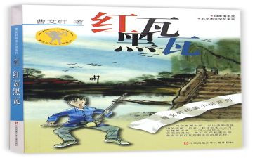 红瓦黑瓦读后感500字7篇